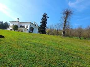 WHITE HOUSE Nizza Monferrato